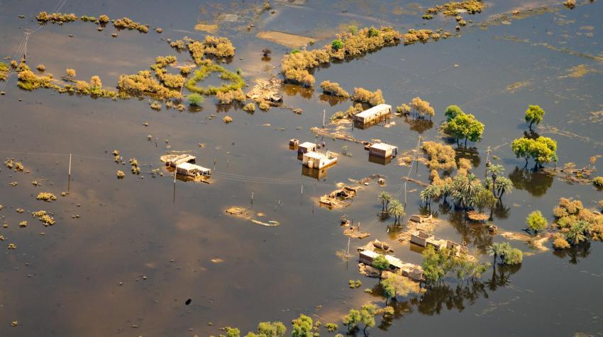 No designación de representantes de países industrializados ha impedido realización de 1ª reunión de Junta del Fondo para Pérdidas y Daños por impacto de #cambioclimático.

Dilación evita acceso de víctimas y personas vulnerables a recursos urgentes para enfrentar estos desafíos.