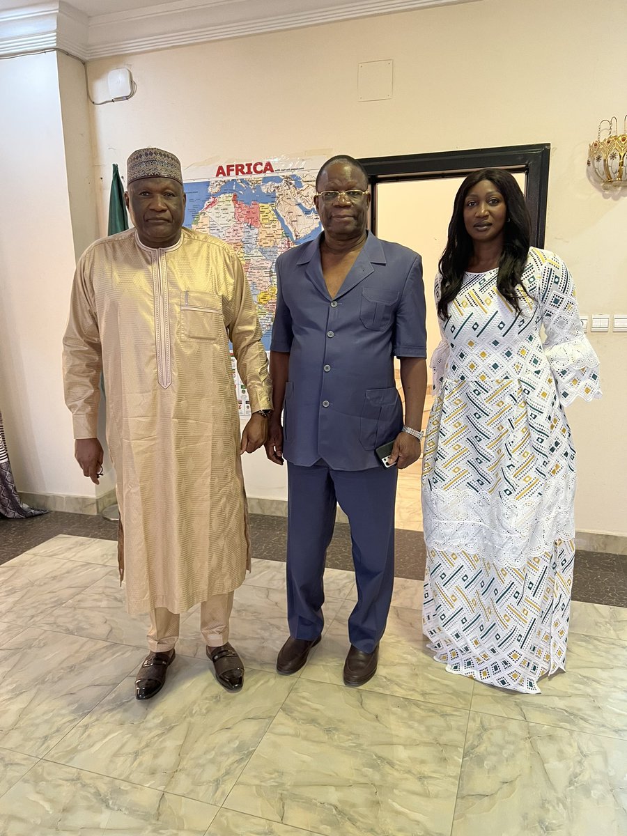 Union Africaine Bureau de Liaison au Tchad tweet media