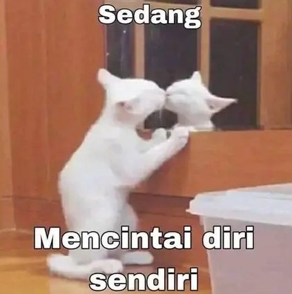Nurulhaayati's tweet photo. Ketika di tanya kenapa ga nyari pacar https://t.co/fzBW9Qh27q