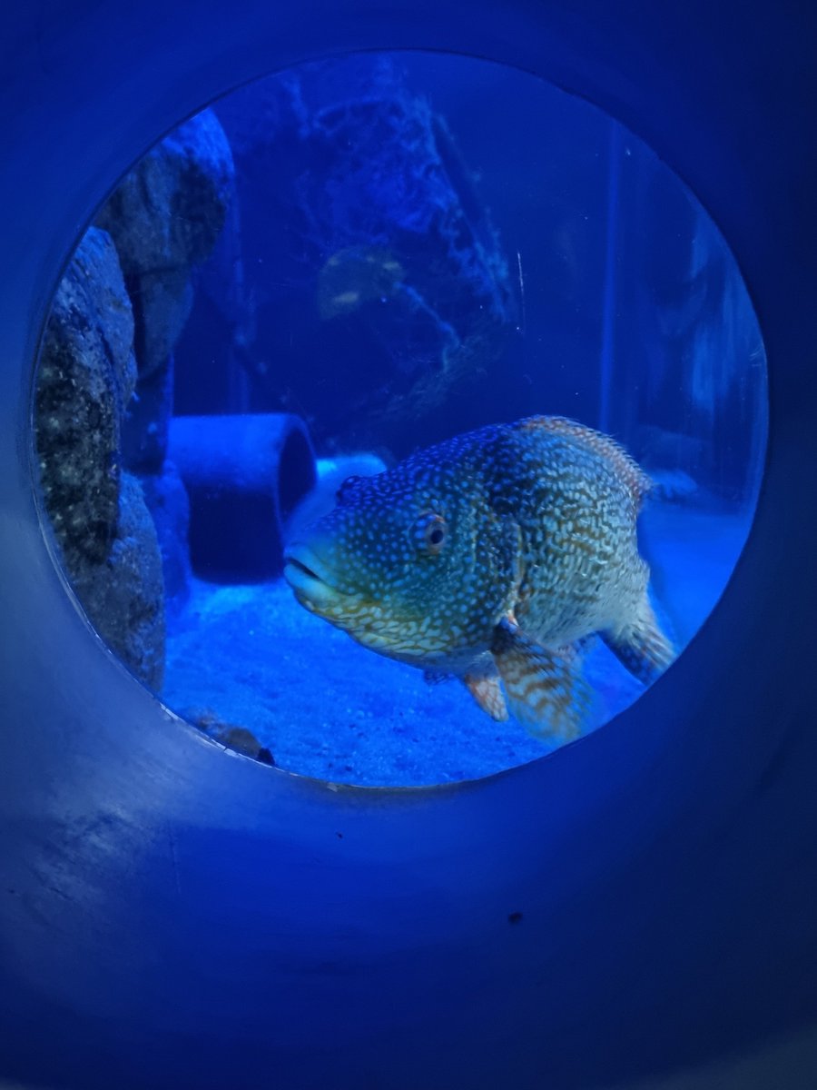 We'll be open from tomorrow for #halfterm and the 2024 season! 😊
Open Mon-Sat 10am - 4pm and 10am - 3pm on Sundays