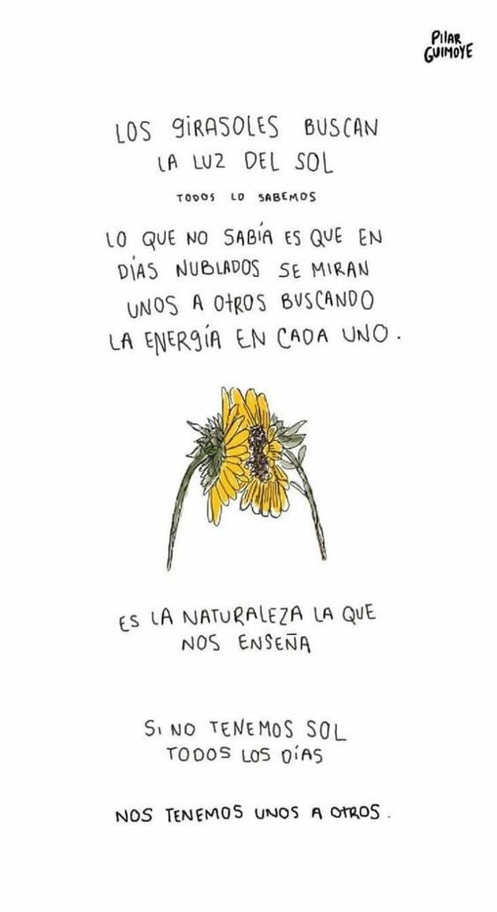 Lucas Bravo (@lucasbravo02) on Twitter photo 