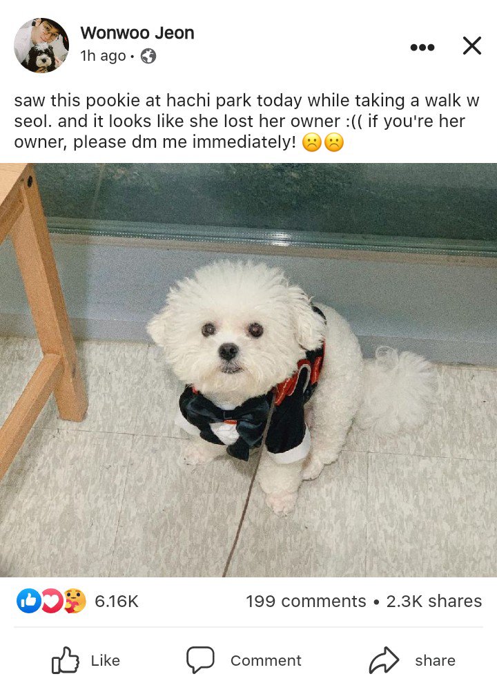 🐾 fur parents 
a short #minwon filo au

wherein mingyu is willing to do everything, even if it takes to 'kiss' a stranger, just to find his lost dog. however, wonwoo ended up being the one who found the dog — his ex-lover.