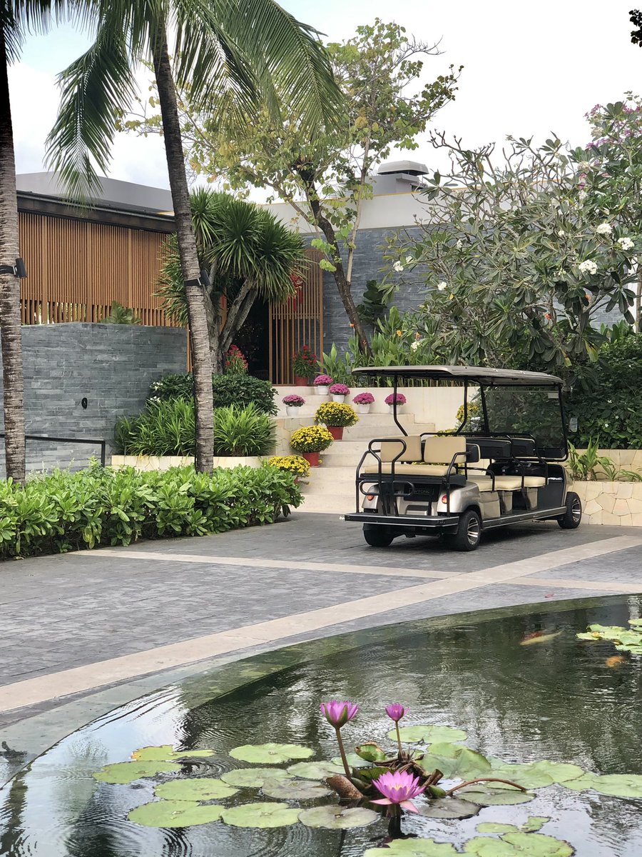 kyomanduza's tweet photo. summer 🏝️ https://t.co/eeyV3RyYzl