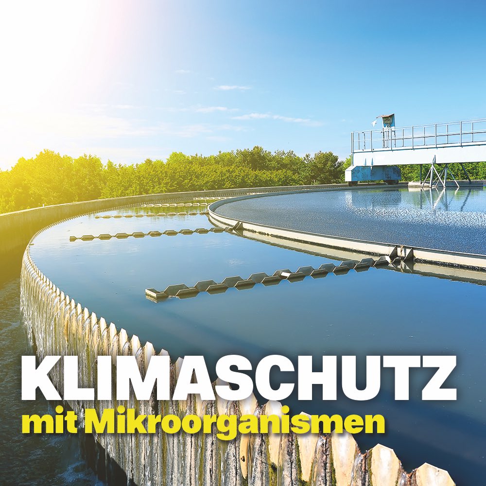Wissenschaft.Kunst.BW (@mwk__bw) on Twitter photo Mikroorganismen als Helfer im #Klimaschutz: Land fördert 9 gleichermaßen originelle wie vielversprechende Forschungsprojekte mit rund 13,5 Millionen Euro.
Gefördert werden Projekte an <a href="/UniHohenheim/">Uni Hohenheim</a>, <a href="/KITKarlsruhe/">Assolrio</a>, <a href="/Uni_Stuttgart/">Uni Stuttgart</a>, <a href="/uni_tue/">Universität Tübingen</a>, <a href="/uni_ulm/">Universität Ulm</a>.
mwk.baden-wuerttemberg.de/de/service/pre… Mikroorganismen als Helfer im #Klimaschutz: Land fördert 9 gleichermaßen originelle wie vielversprechende Forschungsprojekte mit rund 13,5 Millionen Euro.
Gefördert werden Projekte an <a href="/UniHohenheim/">Uni Hohenheim</a>, <a href="/KITKarlsruhe/">Assolrio</a>, <a href="/Uni_Stuttgart/">Uni Stuttgart</a>, <a href="/uni_tue/">Universität Tübingen</a>, <a href="/uni_ulm/">Universität Ulm</a>.
mwk.baden-wuerttemberg.de/de/service/pre…