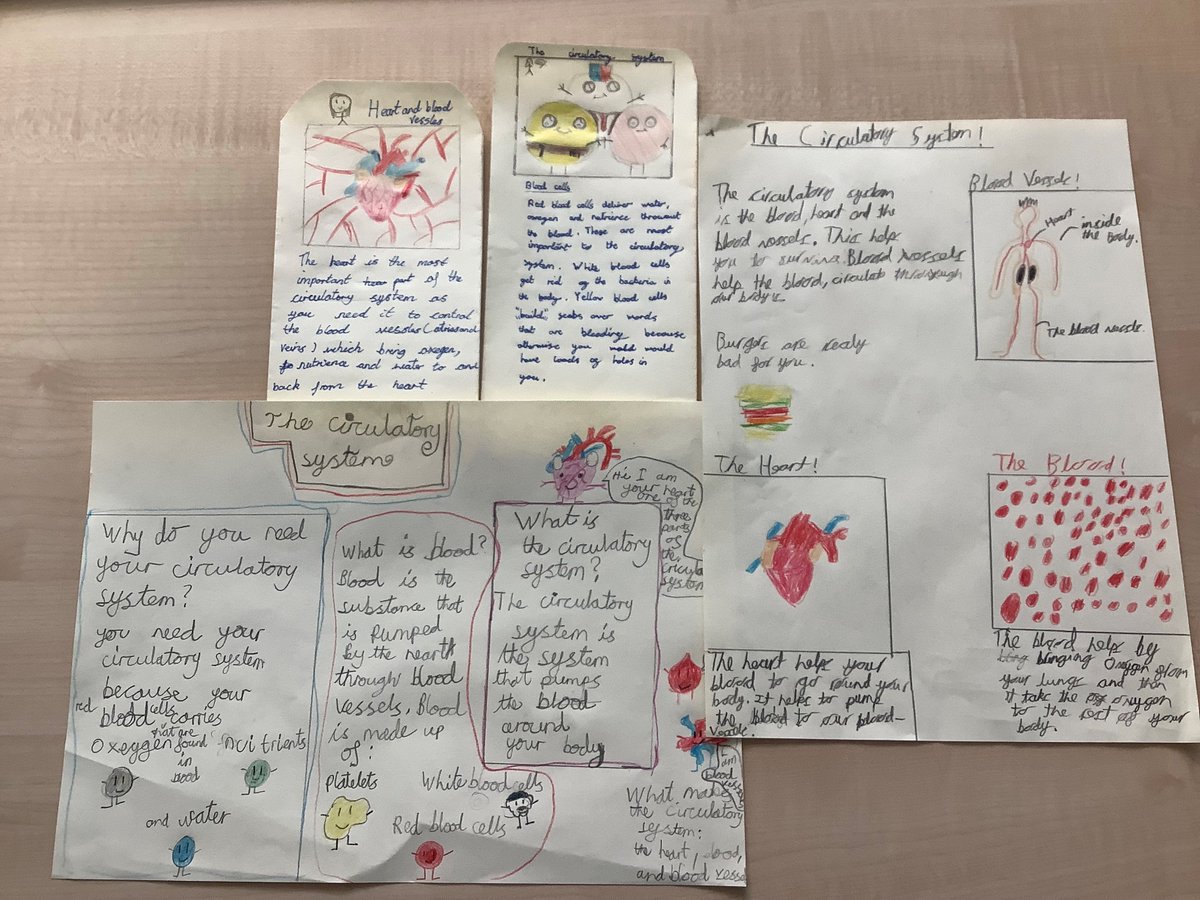 CWPAcademy's tweet image. Y5: Nightingale Class, have showcased their science learning on the Circulatory System, by making pamphlets and posters.
Haven&apos;t they done well? #scientists #circulatorysystem