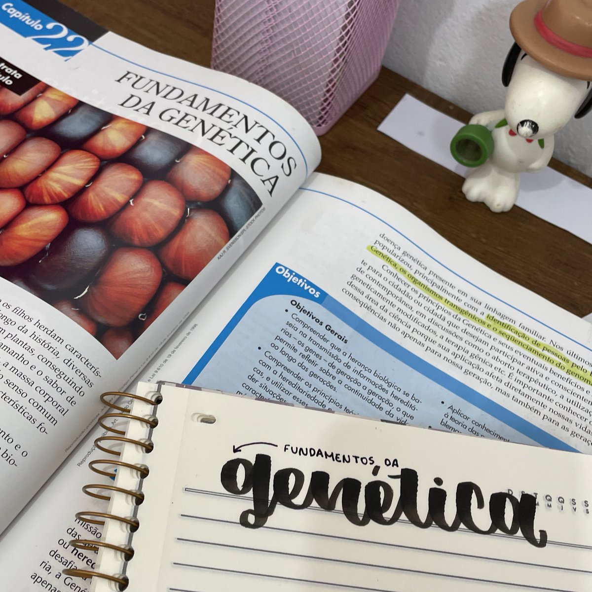 nerdymins's tweet image. estudando para que todo o esforço valha a pena no final.