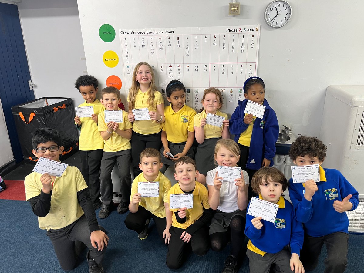 Button Lane Primary tweet media