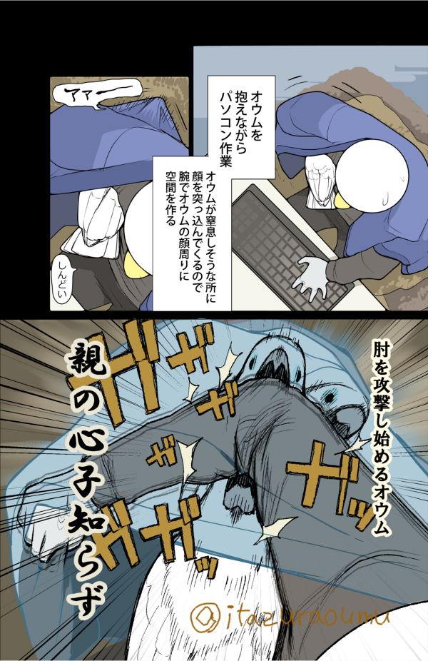 耐えかねて半纏を脱ぐと、オウムが半纏を独占します。
追い剥ぎが目的かもしれません。 