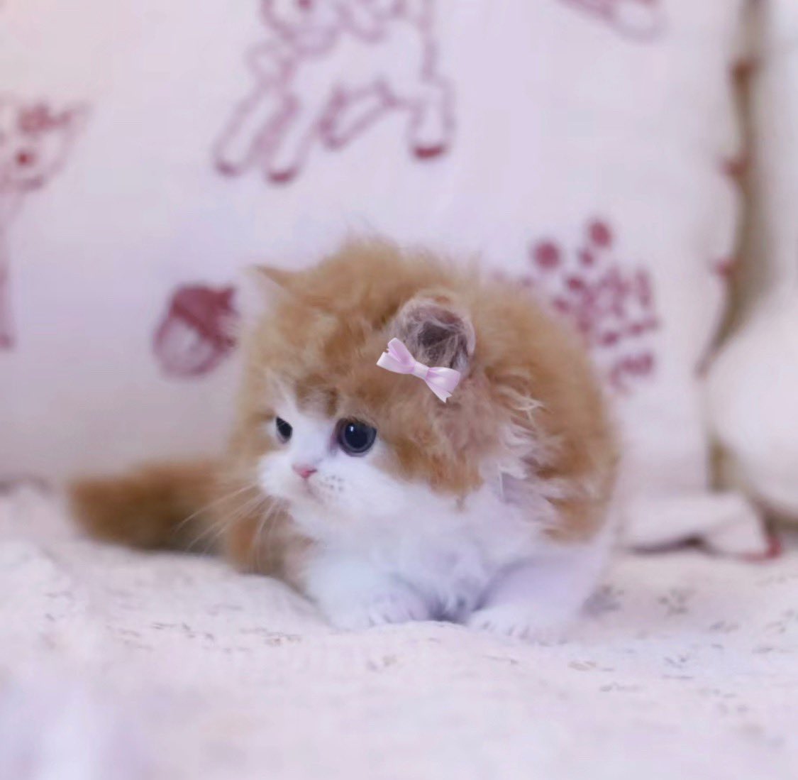 this is me btw if you even care