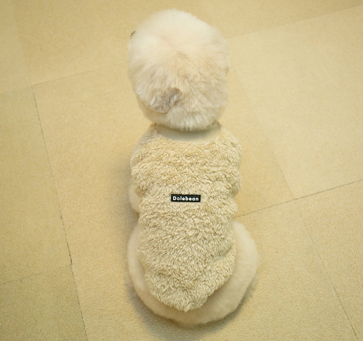 bonpoo's tweet photo. 写真は2023年2月18日。
2022年2月に心臓病が確定して1年目の冬で、とにかく家から外に出た時の温度差が心臓に良くないと心配でした。

これまで服を購入したことはほとんどなかったのですが、少しでも外の寒さを軽減できるかと思い買ってみました。 https://t.co/eyjZo4XdlD