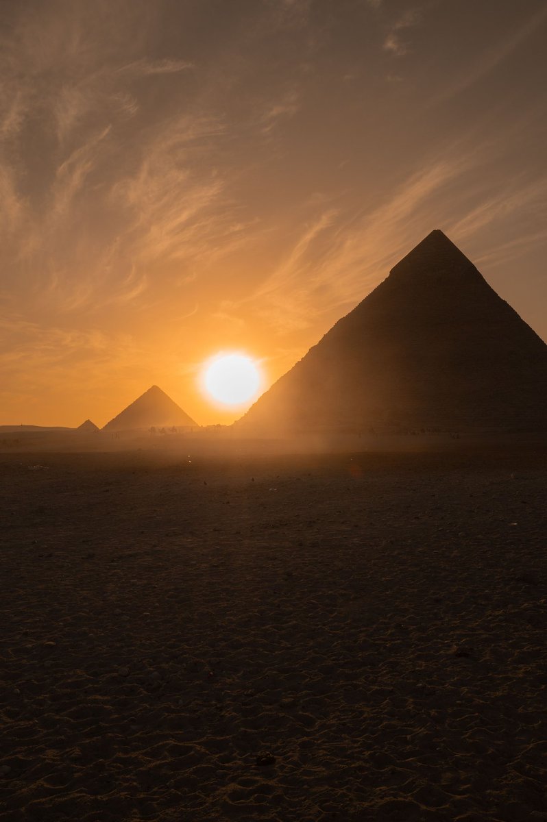 Cairo on yellow 💛