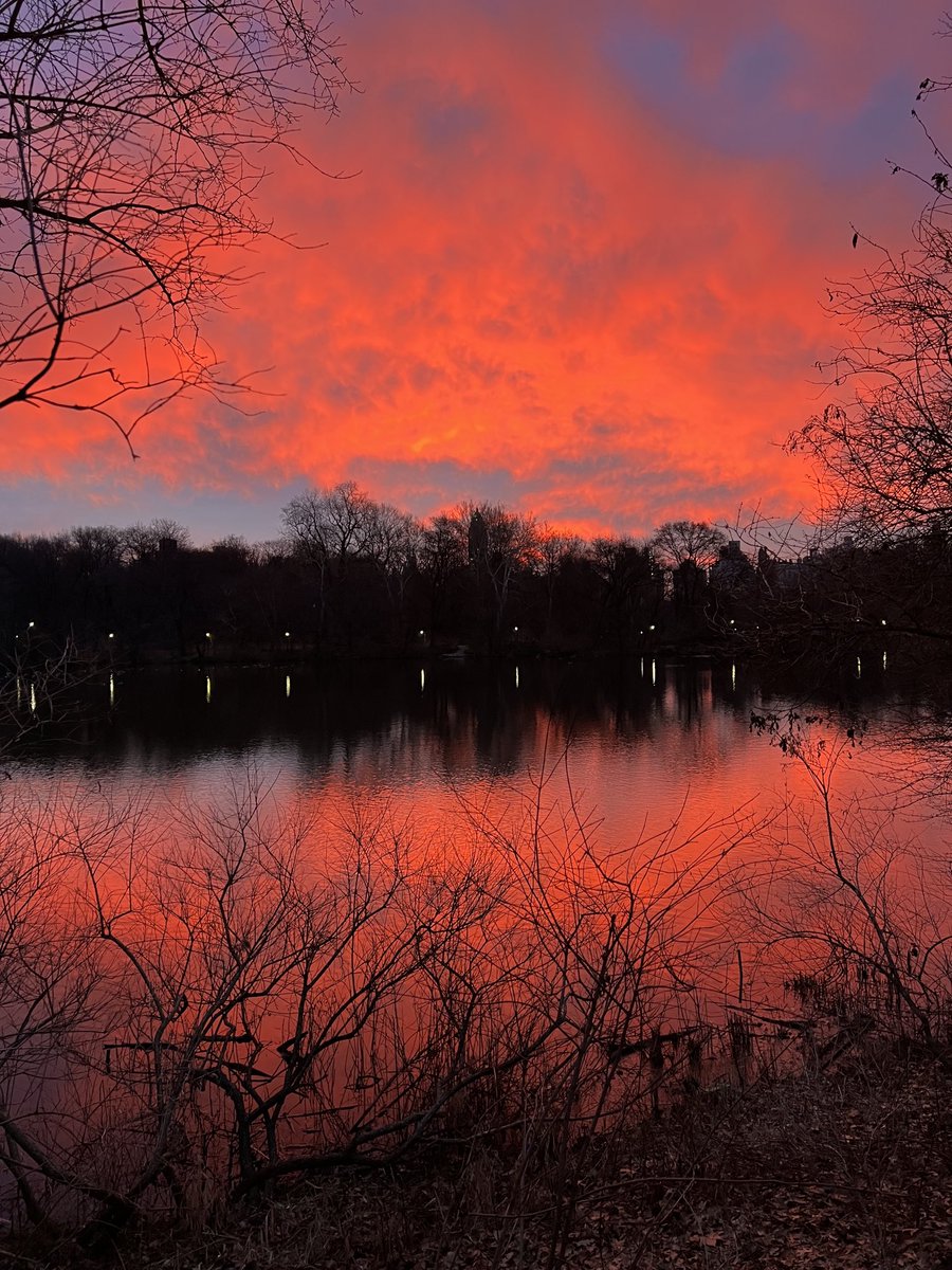 ditomazzi's tweet photo. A new day
Central Park
#newyork https://t.co/ZM773RfcCt