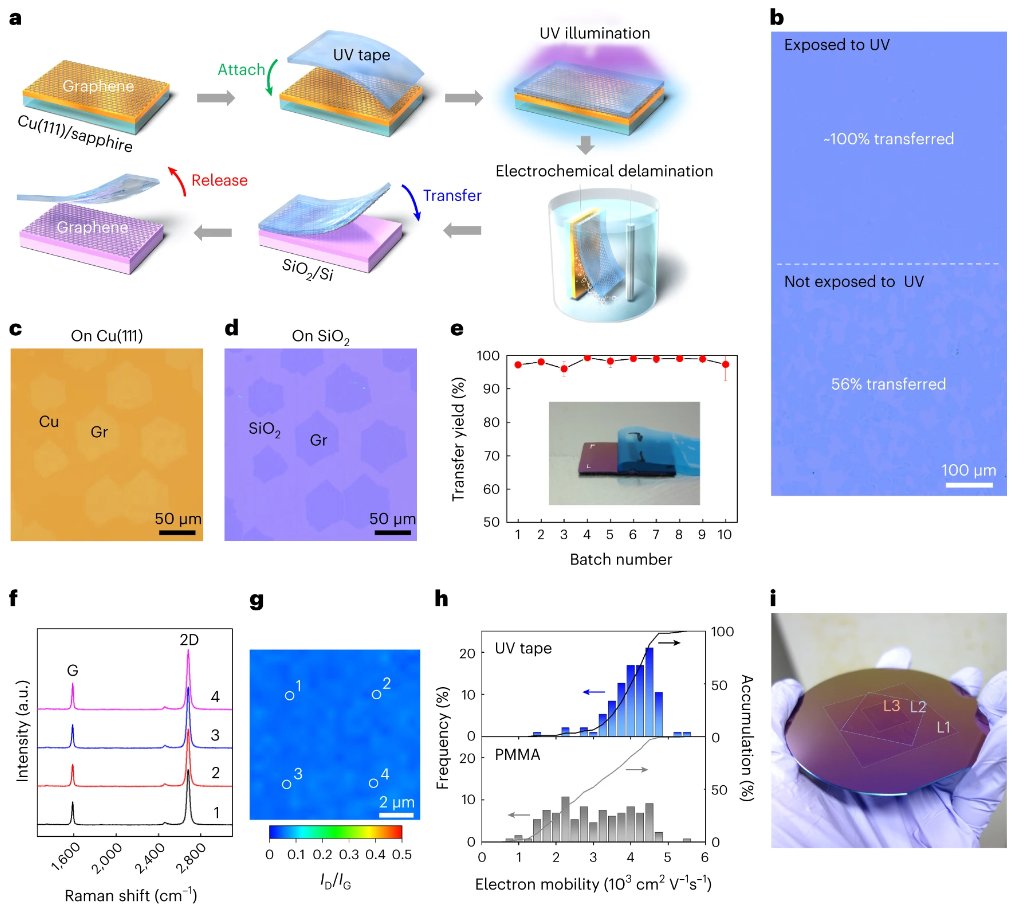 Xabbax's tweet image. Ready-to-transfer two-dimensional materials using tunable adhesive force tapes - #Graphene  #Non_Toxic #Open_Access -nature.com/articles/s4192…