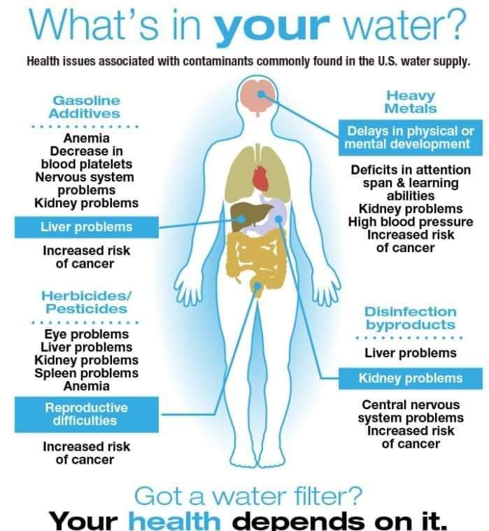 You bet I never drink #water right from a tap and have a shower #filter, especially when #contaminatedwater made me sick years ago, plus our #publicwater contains #PFAS, and after meeting Erin Brockovich last year when she said every home in America needs #waterfiltration.