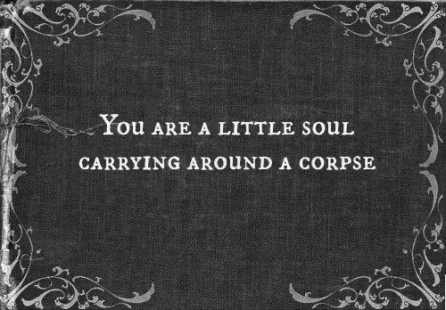 DothTheDoth's tweet image. A very gentle reminder