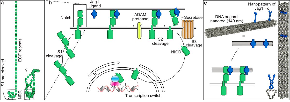 Ioanna Smyrlaki tweet media