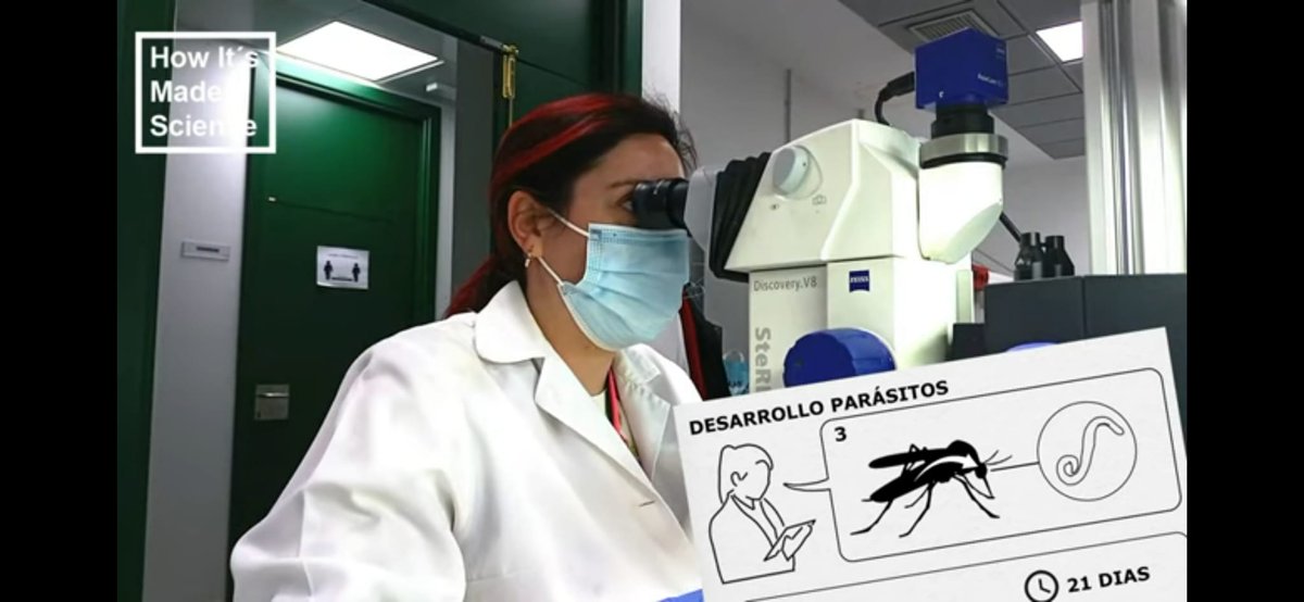 Red Doctorand@s CSIC tweet media