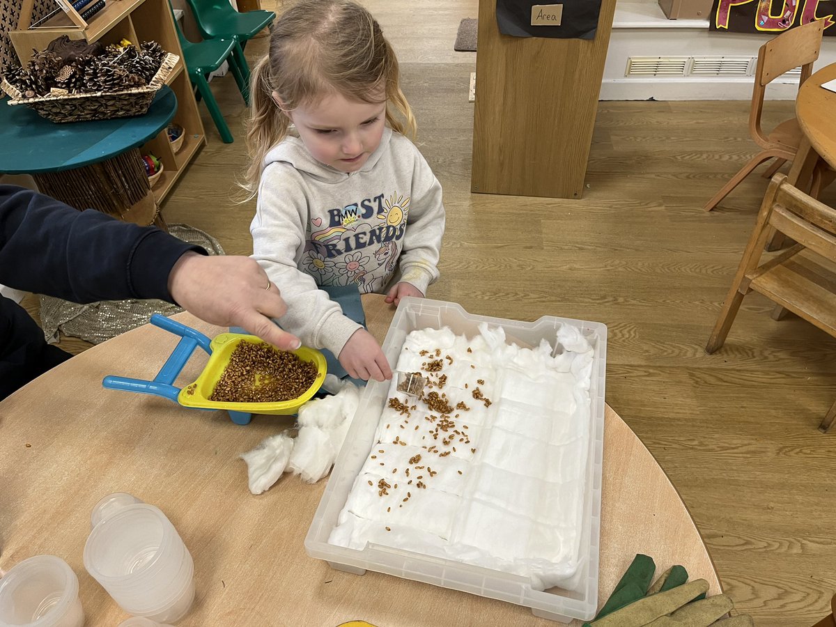 This week’s fairytale has been ‘The little red hen’. In the story the hen asks her friends on the farm if they will help her plant the wheat. Nobody wanted to help so F1 stepped in to lend her a hand. We are going to care for our seeds and watch them grow #learningthroughstories