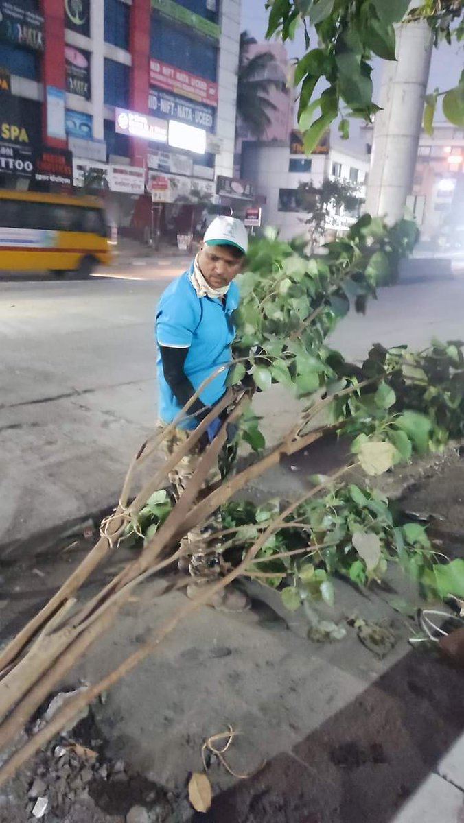 MhalungeSpeaks's tweet image. Great job team Vasundhara Abhiyan baner .

They saved this tree from baner road &amp;amp; replanted it on tekdi.

@PMCPune - Baner road tree plantation should be collaborated with Vasundhara team this will surely improve tree cover on Baner road.