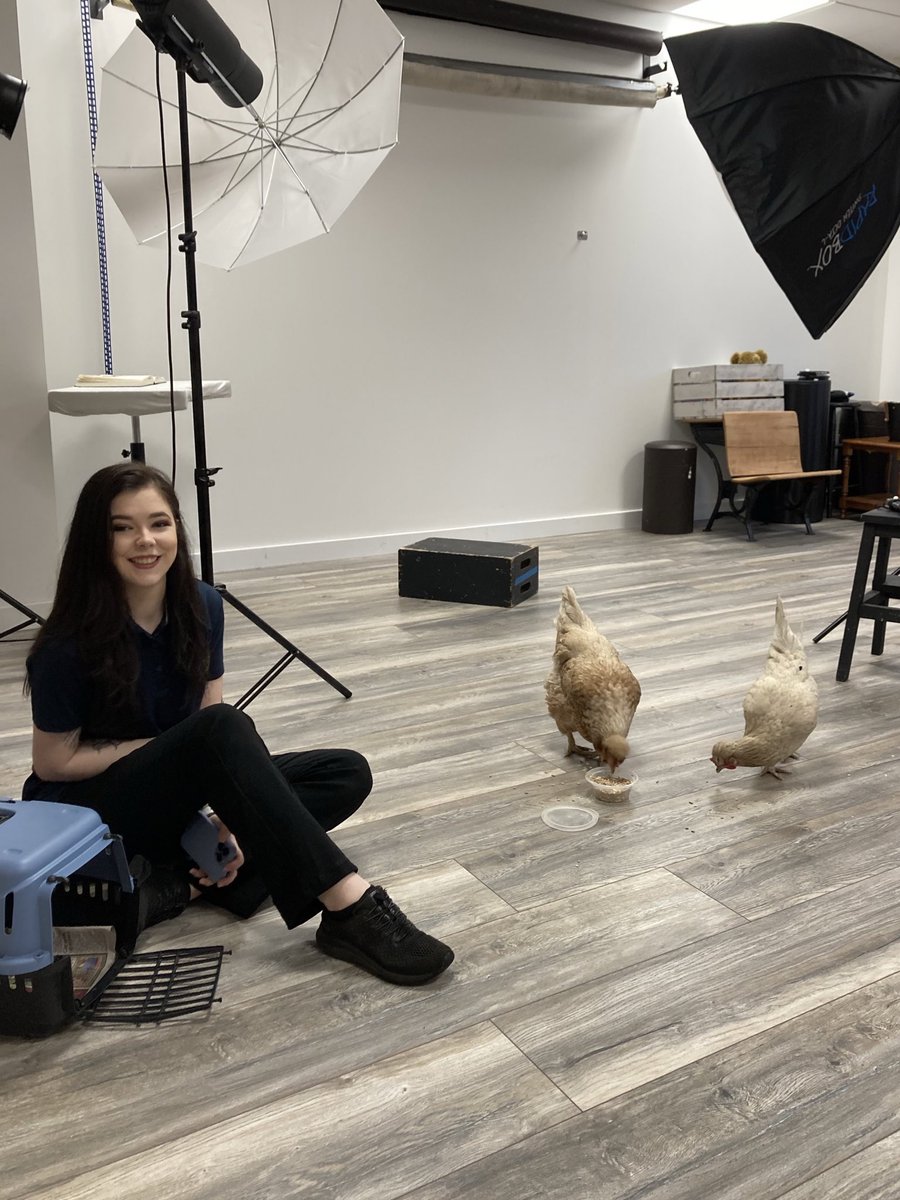 Lauren Gray @Wilsonphotography tweet media