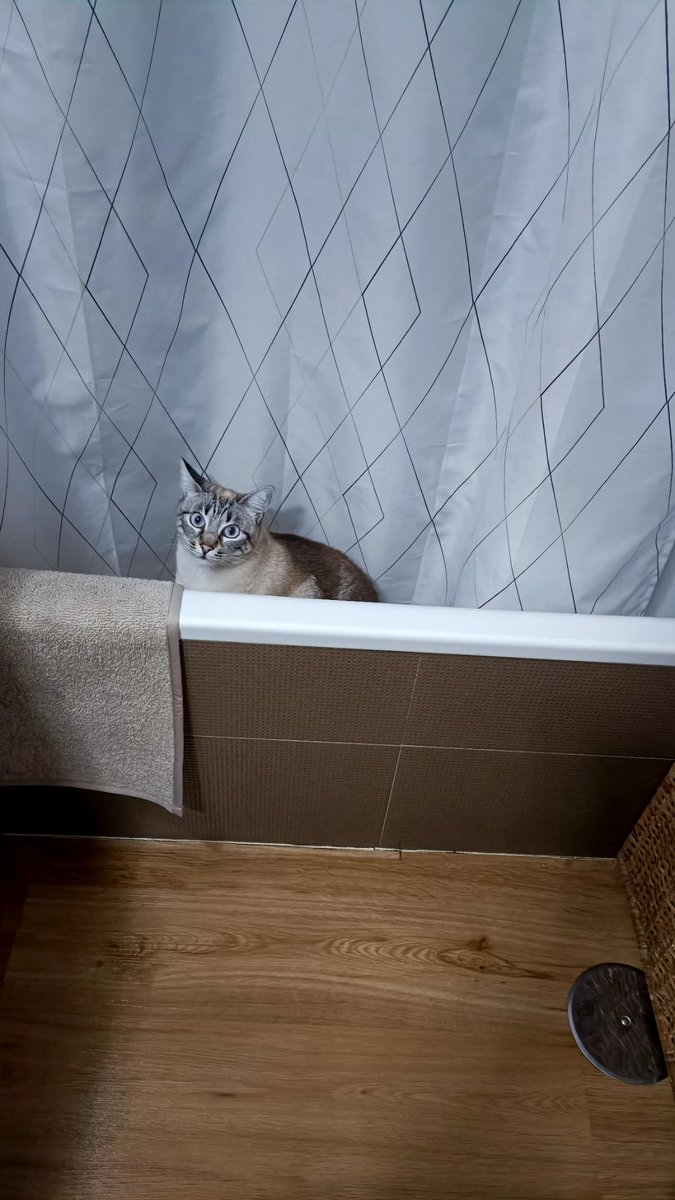 pedrogarces223's tweet photo. @RaymondDoerr https://t.co/D3MipjDthJ