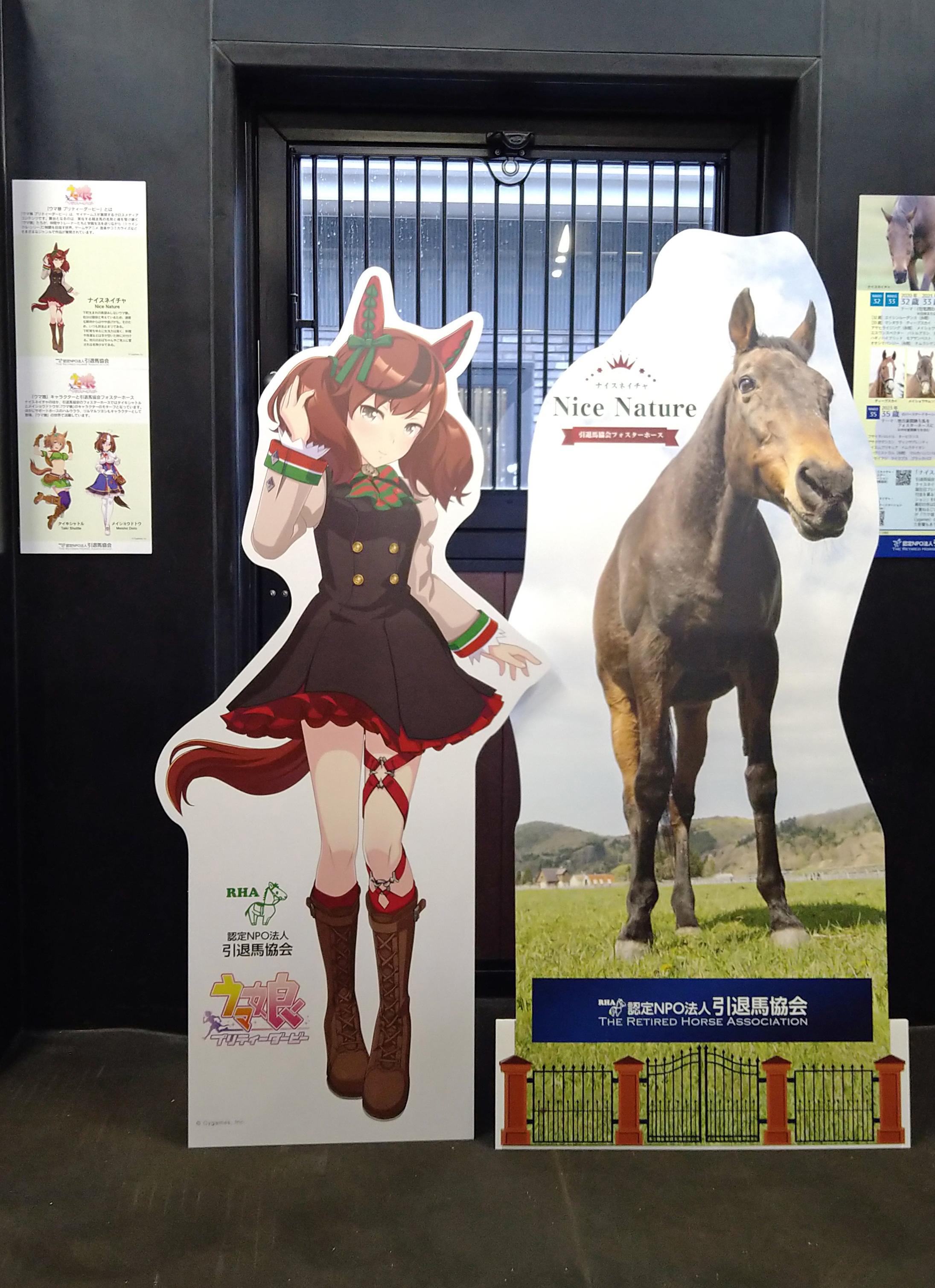 ウマ娘 ナイスネイチャ 等身大パネル - メルカリ