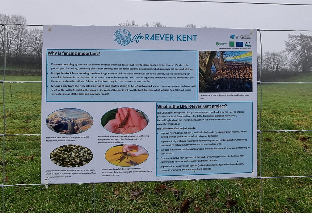 LIFER4everKent's tweet photo. It's been a busy week carrying out river restoration at a local farm and installing fences to protect the newly restored area. If you're a #farmer in the Kent Catchment #Cumbria, we have funding available. Drop us a line to find out how we can help! 💚 #CatchmentSensitiveFarming https://t.co/kX5NuzG4Cl