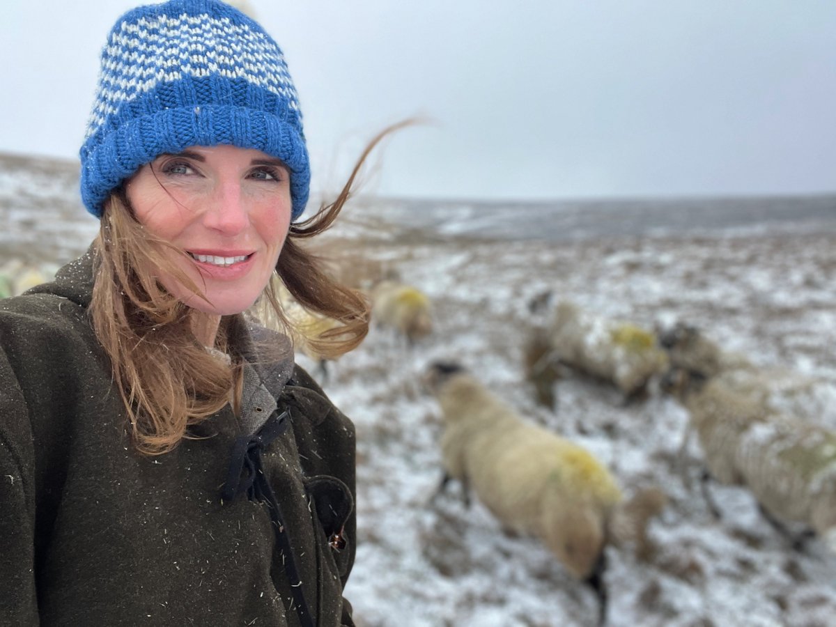 Winter woollies. 🐑 ❄️ 
#yorkshire #snow #farm #sheep #winter #shepherdess