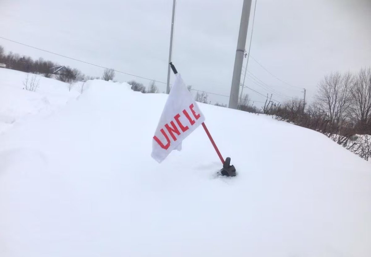 Ryan Snoddon tweet media