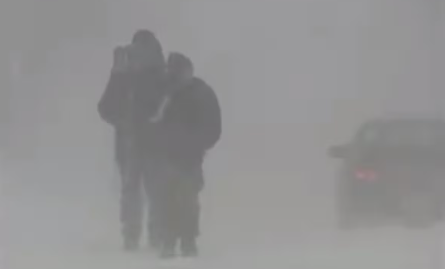 Ryan Snoddon tweet media