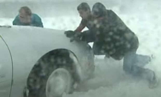 Ryan Snoddon tweet media