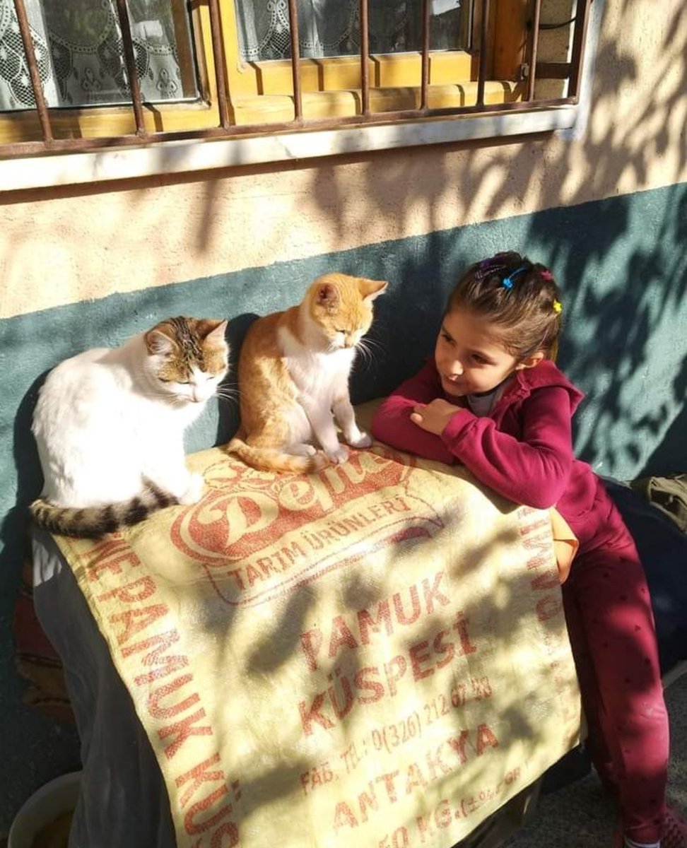 neriman1515's tweet photo. Çocukken; herşeyin sahibi olmak için büyümek isterdik.
Büyüdük; şimdi herşeyden uzak olmak için hep çocuk kalmak istiyoruz. https://t.co/YnIwaEs1x6