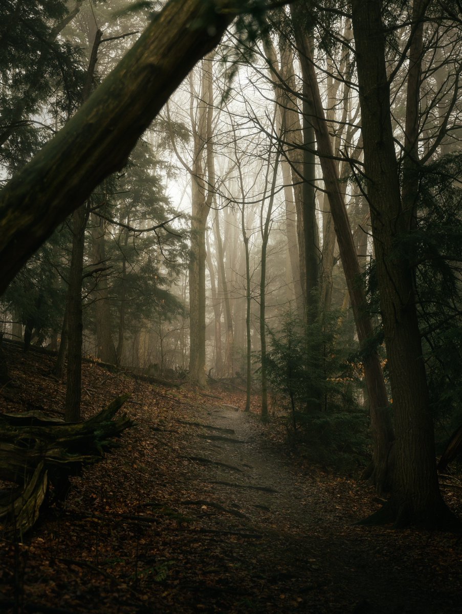 Gm and happy foggy Friday😶‍🌫️

Hope you have a great start to your weekend, and maybe someone will be the first to give this a home!

🔗👇