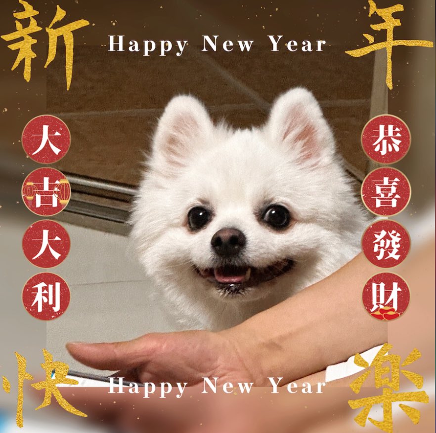 大家新年好
Happy Chinese New Year🎉
“Kung Hei Fat Choy”