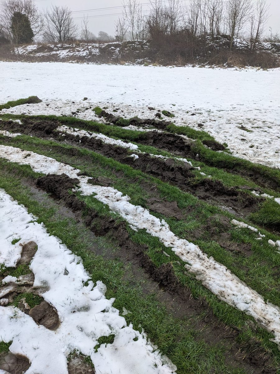 Martin_Reppion's tweet photo. What sort of demented pillock gets their kicks by smashing through a fence in a 4x4 and destroying a local cricket ground?
This was the site that met our volunteer ground staff this morning.
Mindless destruction. https://t.co/FdkG8ngux1