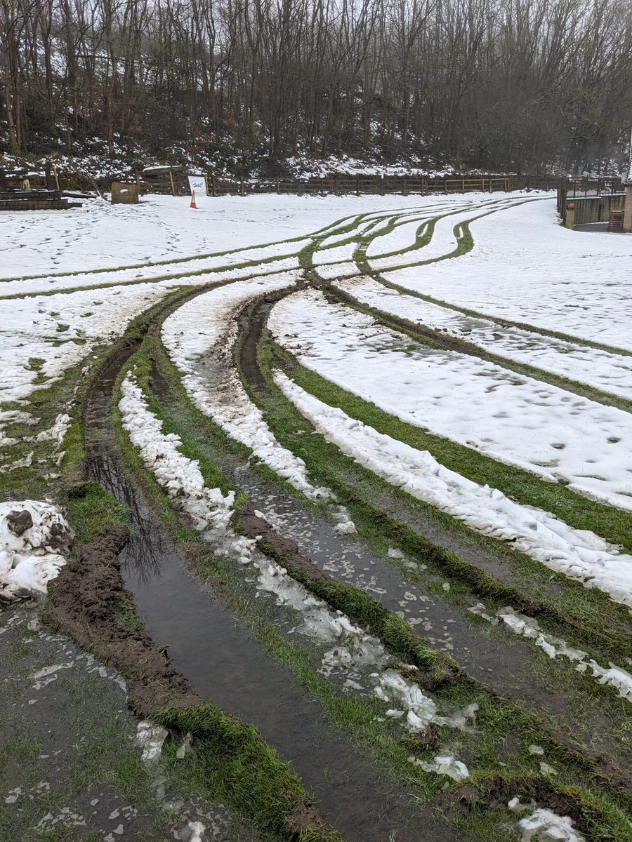 Martin_Reppion's tweet photo. What sort of demented pillock gets their kicks by smashing through a fence in a 4x4 and destroying a local cricket ground?
This was the site that met our volunteer ground staff this morning.
Mindless destruction. https://t.co/FdkG8ngux1