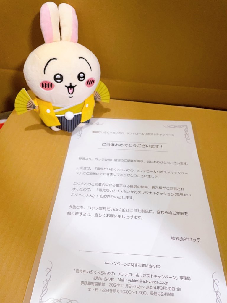 雪見だいふくっしょん まさか…まさかの当選😦💓 届くまで信じられない