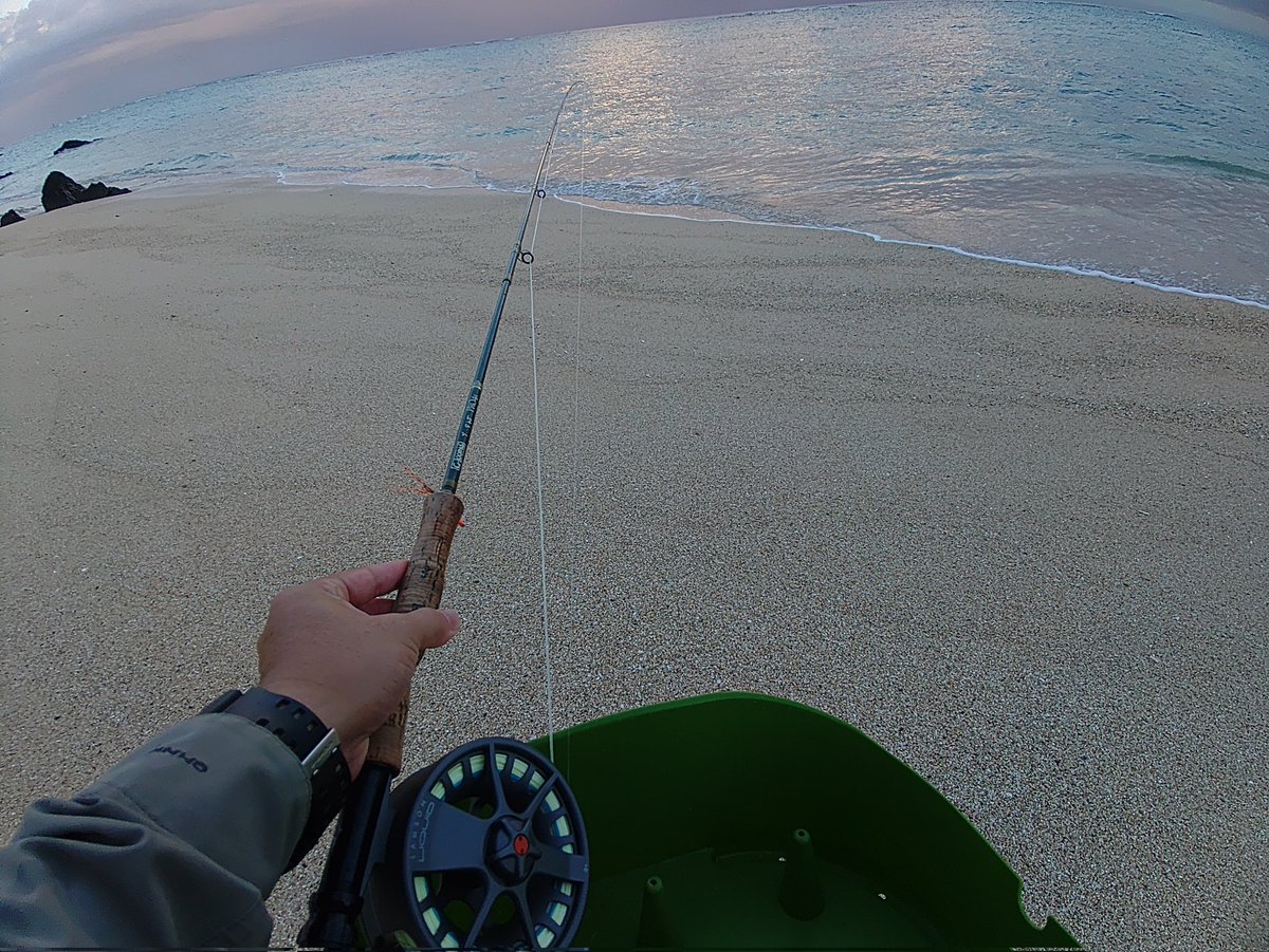 ih_kazuki's tweet photo. ルアーでブルーフィン釣るのめっちゃ簡単なのに、フライで釣るのめっちゃ難しいwww
#iheyaisland #nohoisland #伊平屋島 #沖縄
#okilife #iheyalife #海のある生活 #離島 #島暮らし
#fishing #instafish #釣り #沖縄釣り #flyfishing #saltflyfishing #フライフィッシング https://t.co/4SuhOCerdB