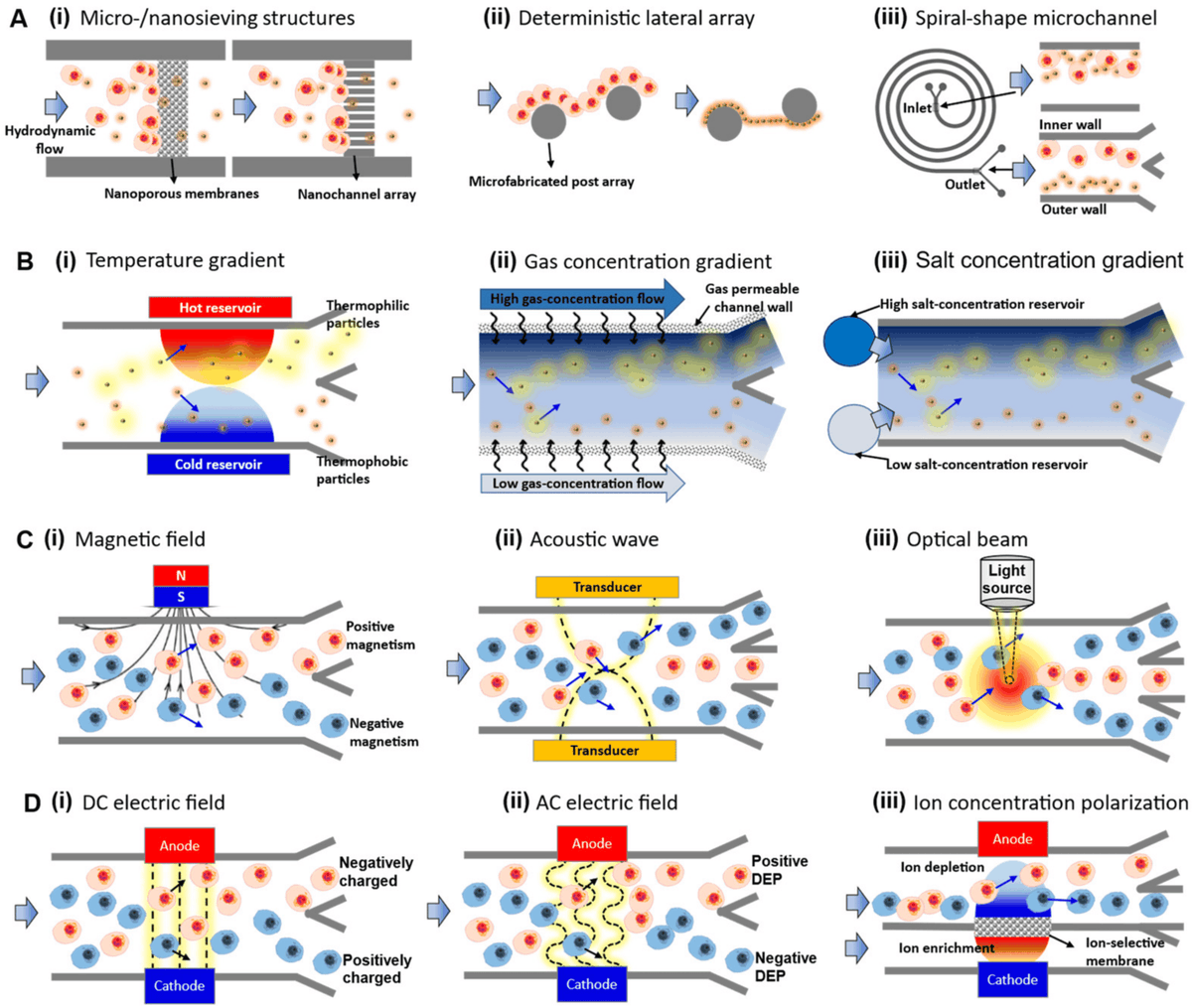 Biosensors_MDPI's tweet photo. #Review
Progress of Microfluidic Continuous Separation Techniques for Micro-/Nanoscale Bioparticles by Se-woon Choe, et al.
https://t.co/W1bn4X1t0j
@MDPIOpenAccess @ChemMatSci_MDPI
#microfluidics #separation #bioparticles #biosensors #biosamplepreparation #openaccess https://t.co/D7qs1CFpID
