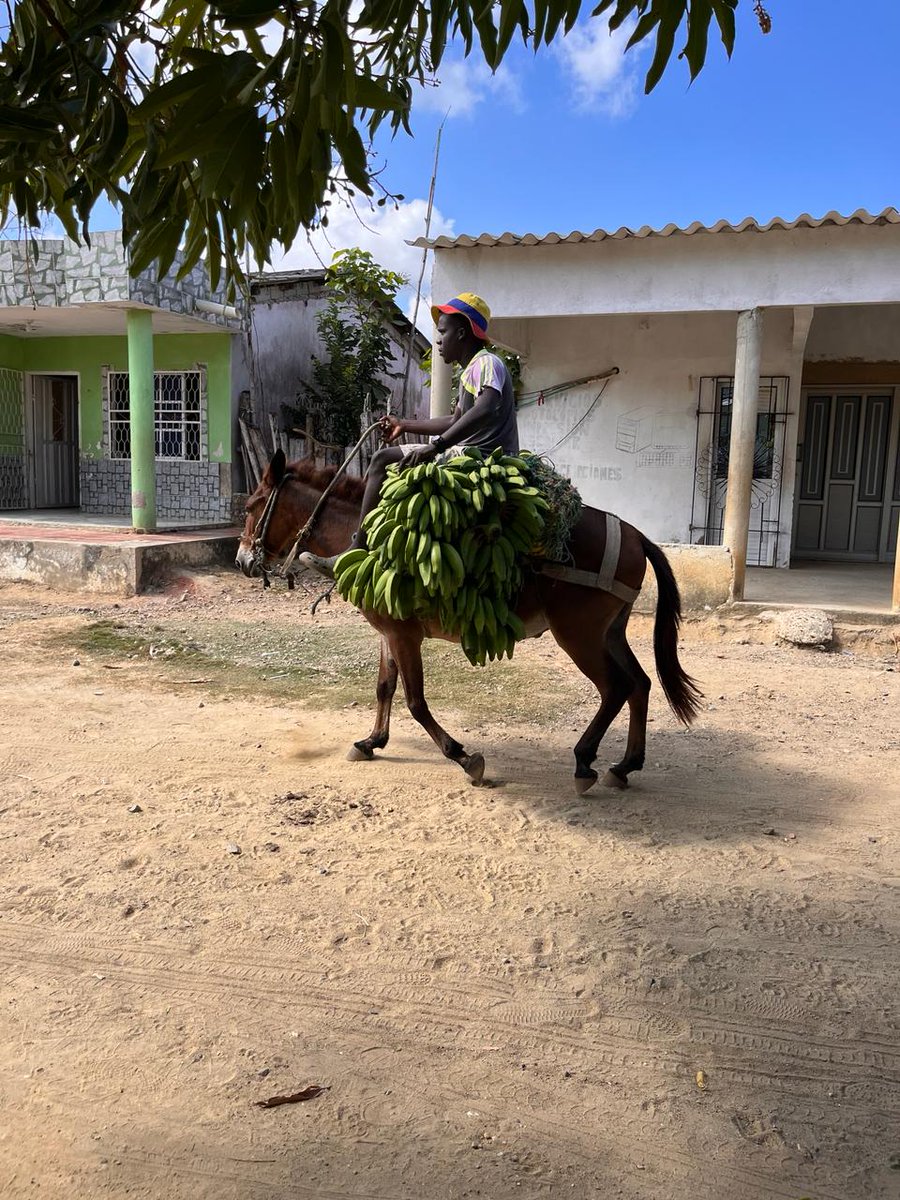 AFBETANCOURT's tweet image. Bolívar me enamora! 
#Compi