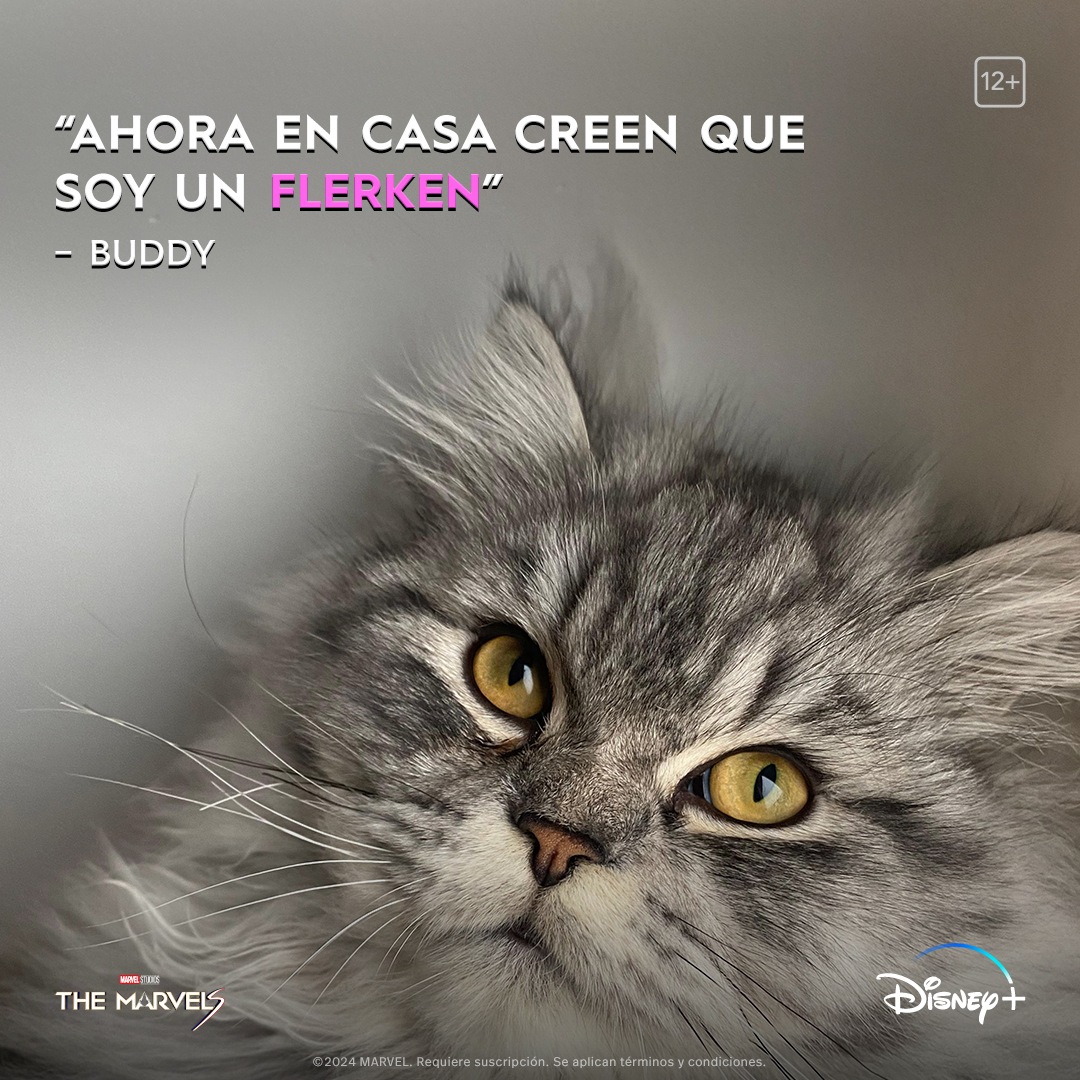 Tenemos las declaraciones de primera patita de nuestros mejores corresponsales sobre #TheMarvels en @DisneyPlusEs 🐾

Son MIAUGNÍFICAS 🤩