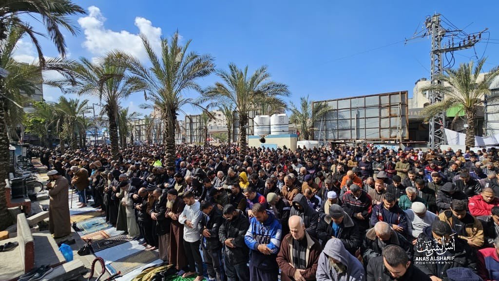 TIMES OF GAZA tweet media