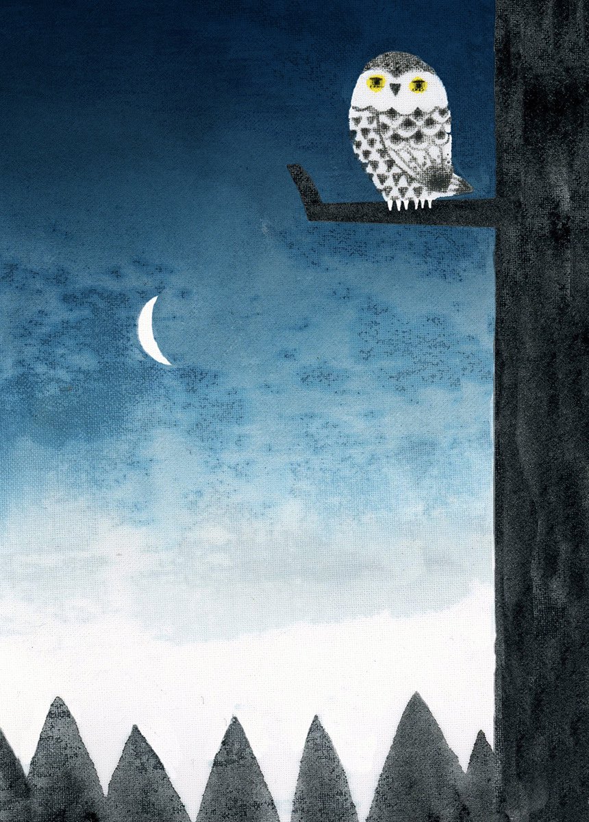 morori_rori's tweet photo. かわいいフクロウがいっぱい見てれ楽しかった。
 #フクロウの日 #イラスト #Illuminatio #adobe https://t.co/5F29Ql0HE7