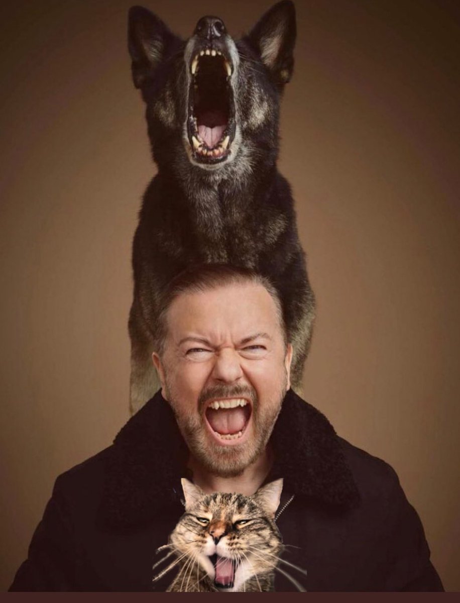 rickygervais's tweet photo. Have a fierce weekend 👊 https://t.co/DzV4yBEnZc