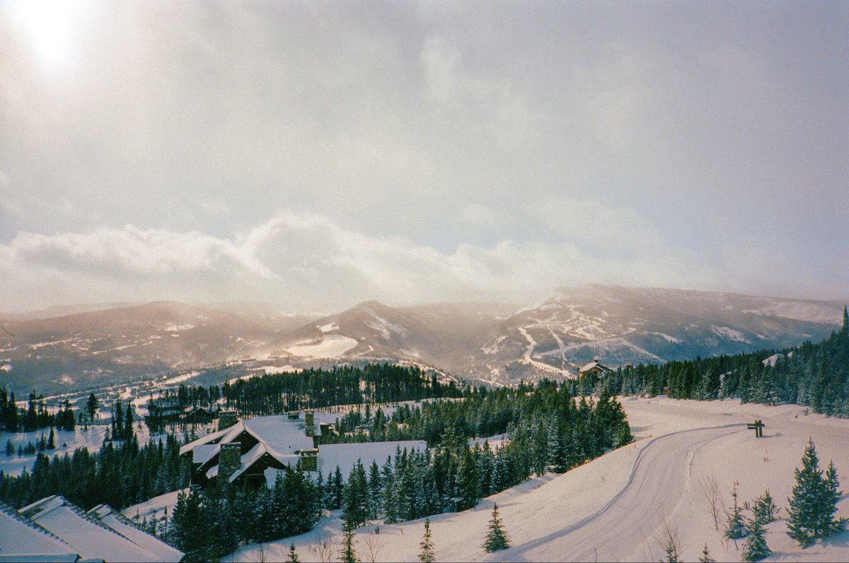 AlexKittoe's tweet photo. In the middle of winter 🎞️ https://t.co/YJQnexCz27