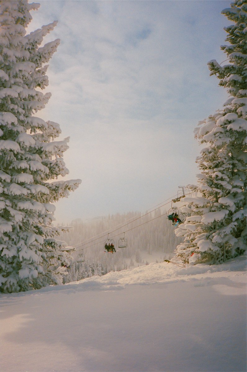 AlexKittoe's tweet photo. In the middle of winter 🎞️ https://t.co/YJQnexCz27
