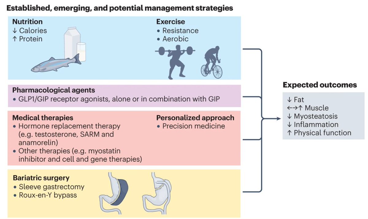 NatureRevEndo's tweet photo. Online now: in this Review, Carla Prado and colleagues discuss the pathogenesis, diagnosis and management of sarcopenic #obesity (£) https://t.co/sBgYgUOrvk https://t.co/R9Ff9hHS7i