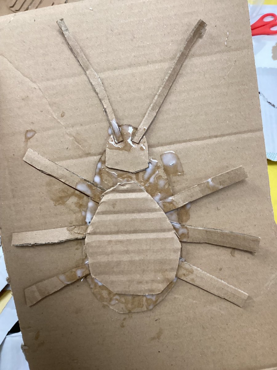 Belle Vue Primary & Nursery School tweet media