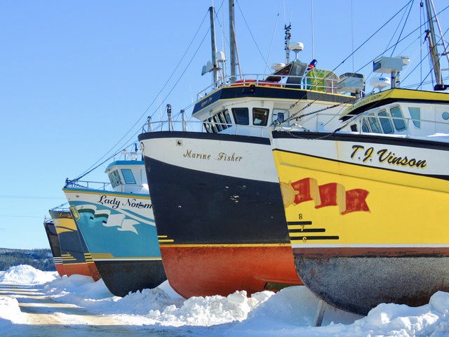 stan_sdcollins's tweet photo. Some fishing boats on dry dock at Port Saunders north of here. There is a large fishing fleet in the location. https://t.co/GvxOine560