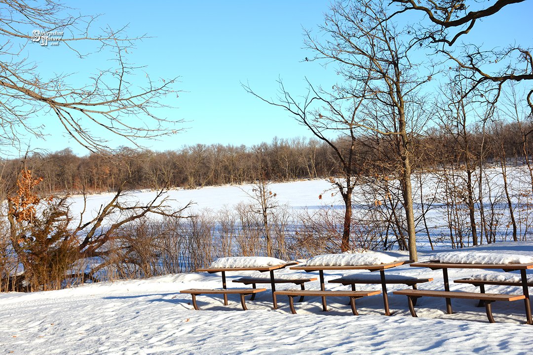 Sharpshot Nature .Com 02443-tod-019097 Lake[Reblog from 2023]
Nikon D7100 - f/8 1/250 ISO100 - Cleary Lake Regional Park, MN
sharpshotnature.com 
#sharpshotnature #lake #tree #bark #branch #stick #twig #sky #picnictable #snow #winter #nature #naturephotography #wildlife